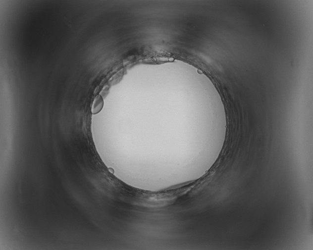 X0000086900672200704160948