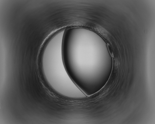 X0000086900676200704160947