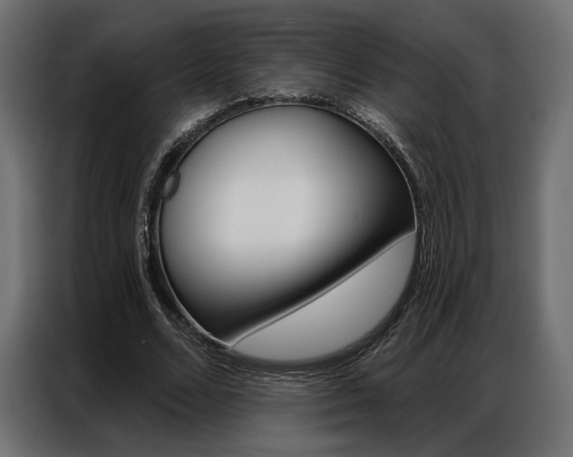 X0000086900680200704160947