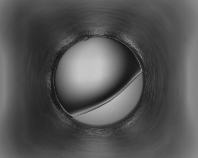 X0000086900681200704160947