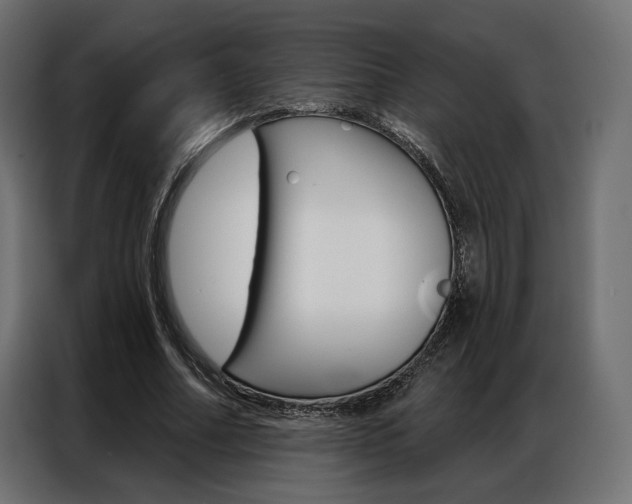X0000086900682200704160947