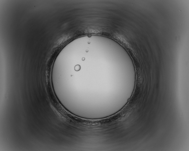 X0000086900683200704160947