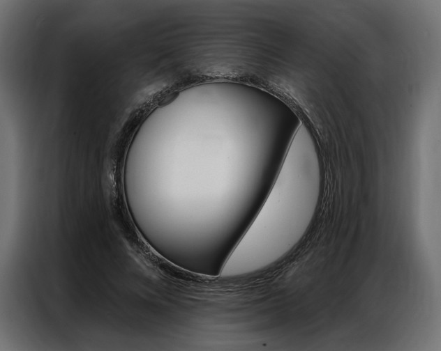 X0000086900688200704160947