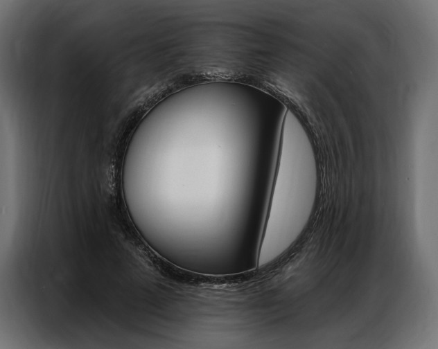 X0000086900689200704160947