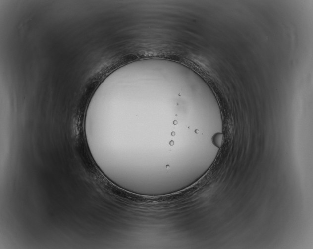 X0000086900691200704160947