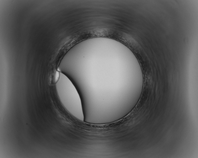 X0000086900694200704160947