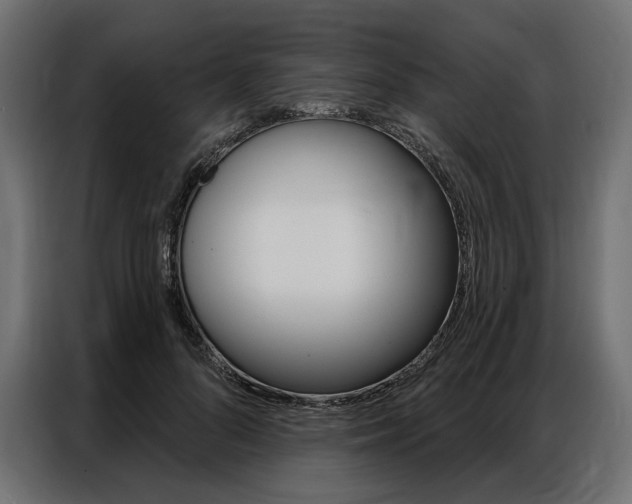 X0000086900696200704160947