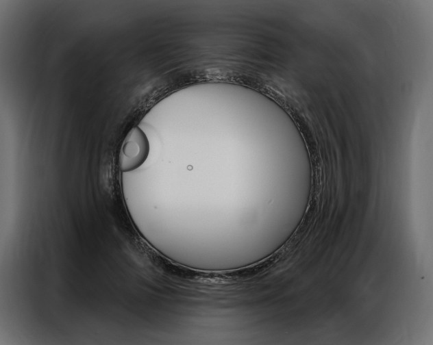 X0000086900698200704160947