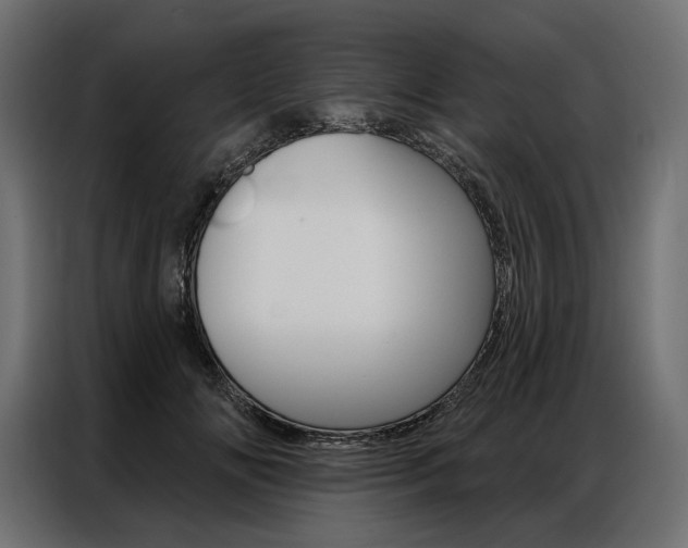 X0000086900702200704160947