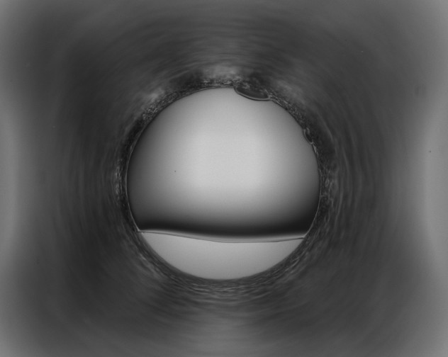 X0000086900708200704160947