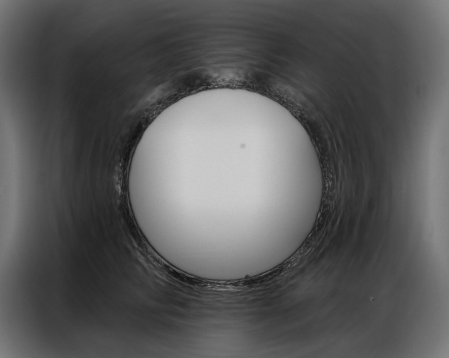 X0000086900710200704160947