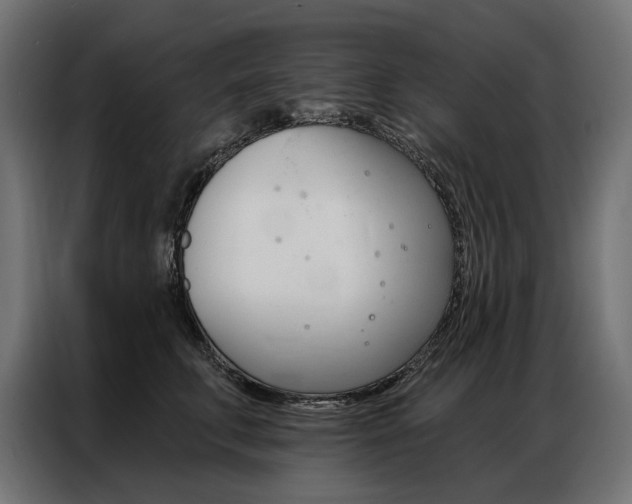 X0000086900711200704160947