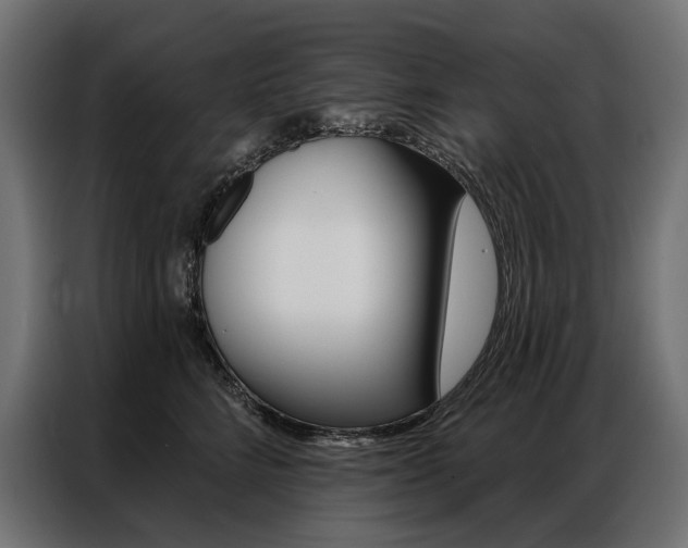 X0000086900712200704160947