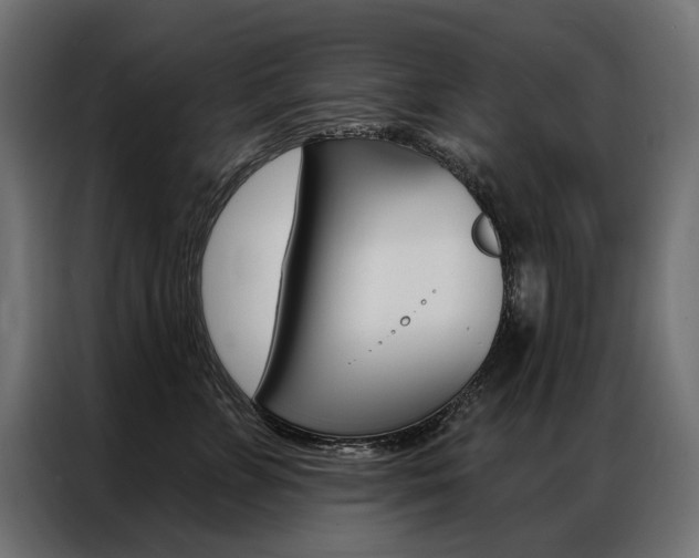 X0000086900715200704160947