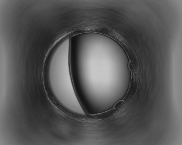 X0000086900722200704160946