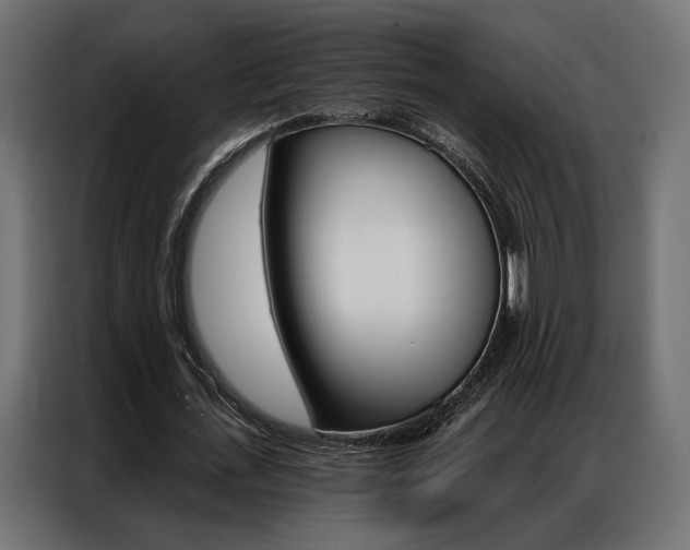 X0000086900723200704160946