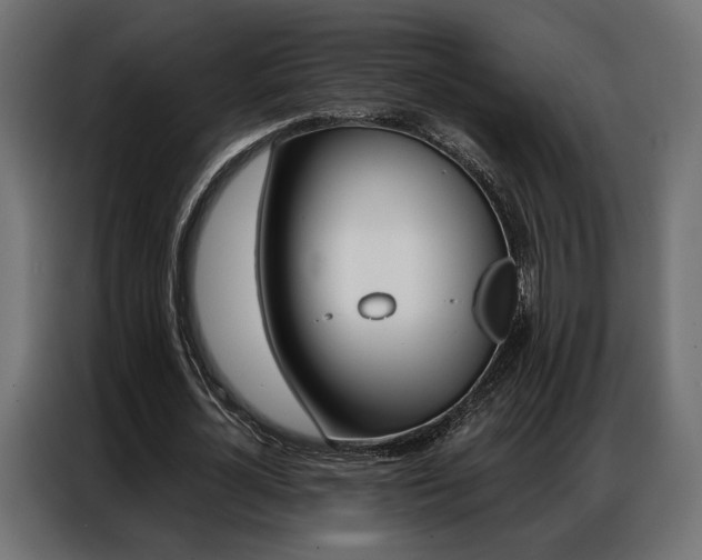 X0000086900724200704160946