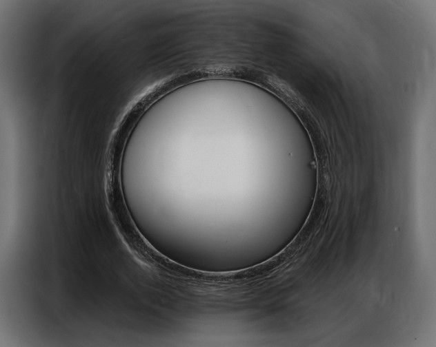 X0000086900728200704160946