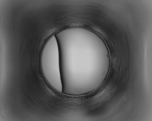 X0000086900729200704160946