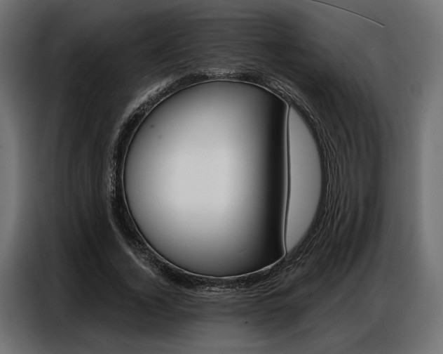 X0000086900732200704160946