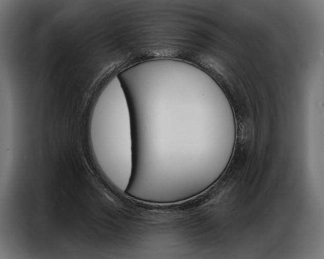 X0000086900733200704160946