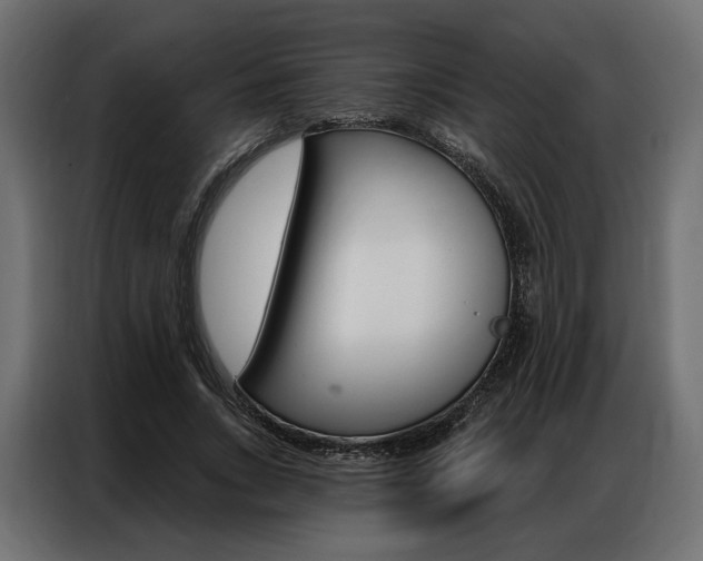 X0000086900735200704160946