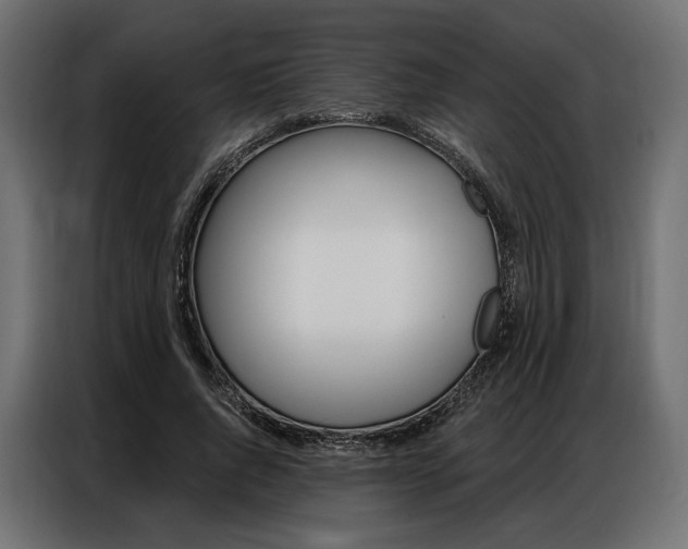 X0000086900736200704160946