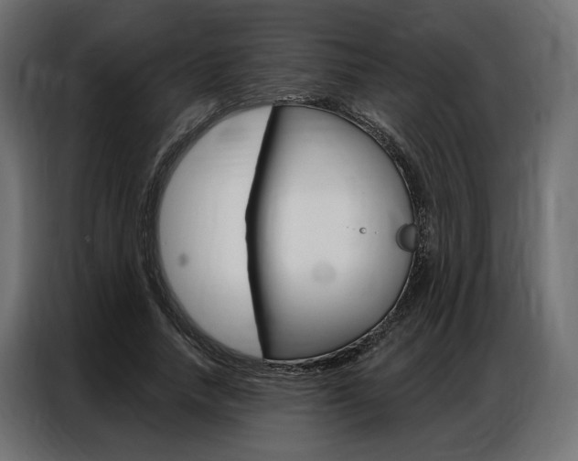 X0000086900738200704160946