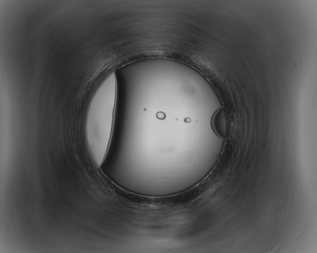 X0000086900739200704160946