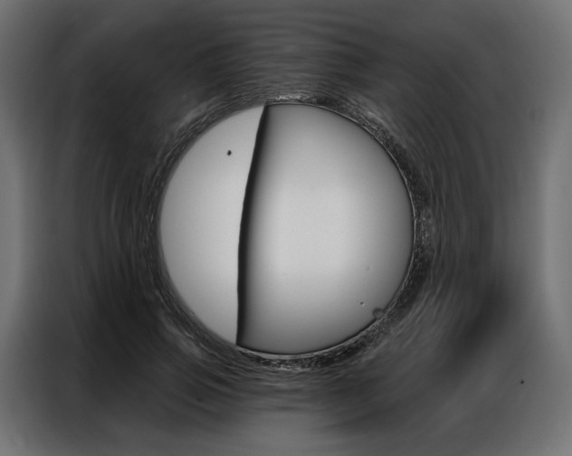 X0000086900741200704160946
