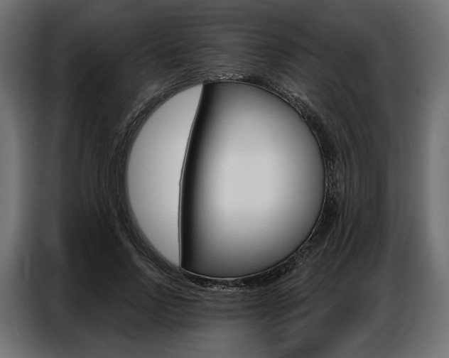 X0000086900742200704160946