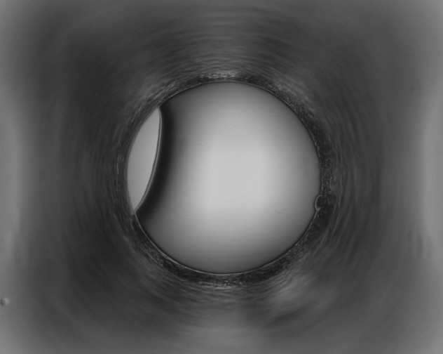 X0000086900743200704160946