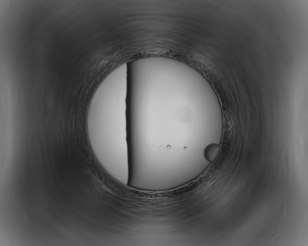 X0000086900745200704160946