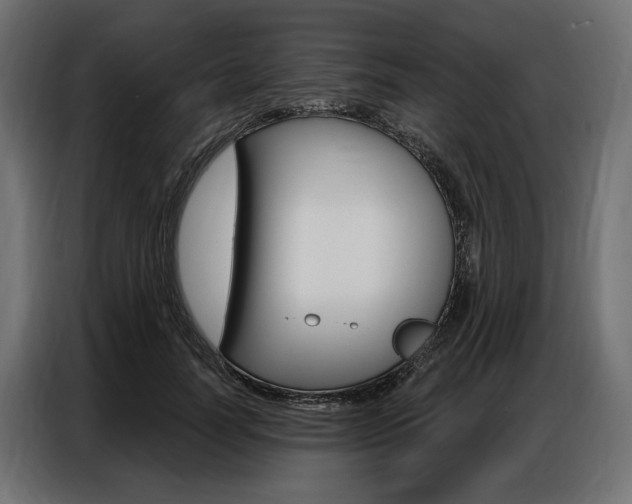 X0000086900746200704160946