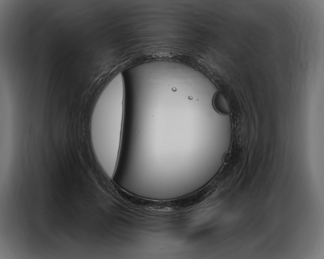 X0000086900747200704160946