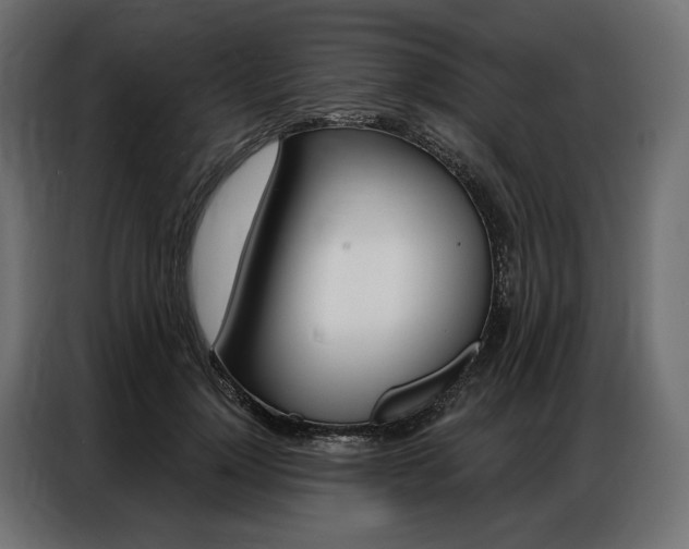 X0000086900748200704160946