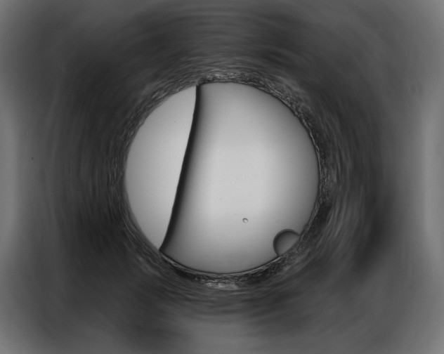 X0000086900749200704160946