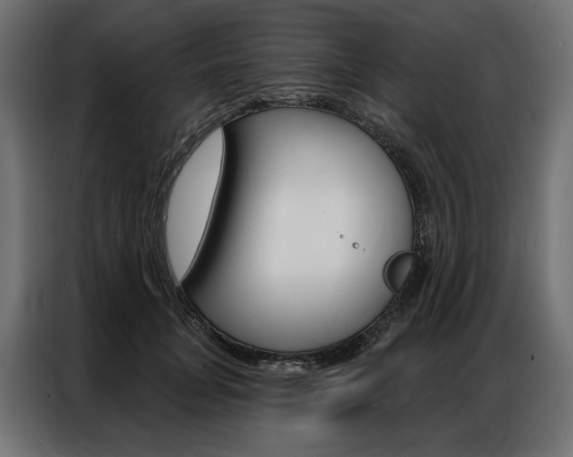 X0000086900751200704160946