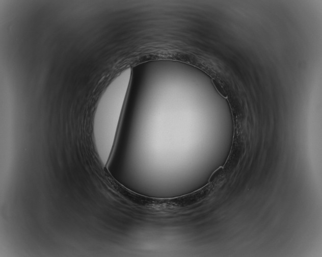X0000086900752200704160946