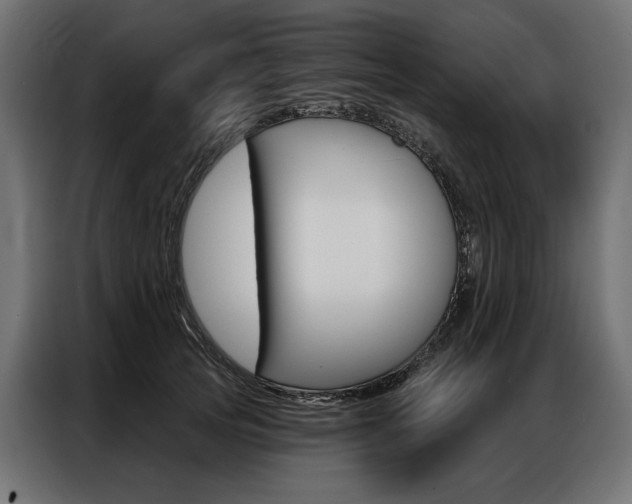 X0000086900753200704160946