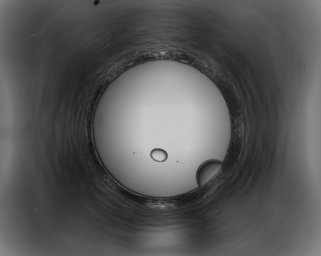 X0000086900754200704160946