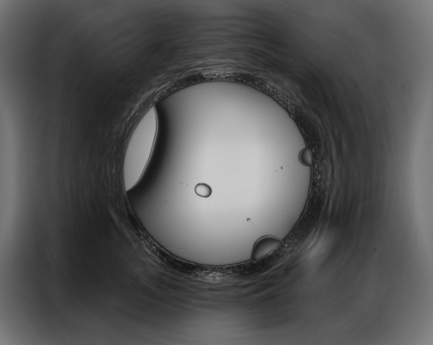X0000086900755200704160946