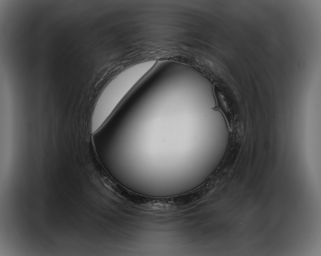 X0000086900756200704160946