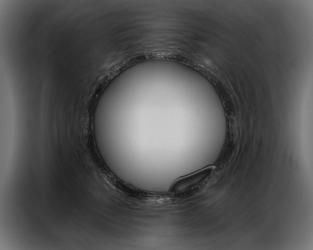 X0000086900760200704160947