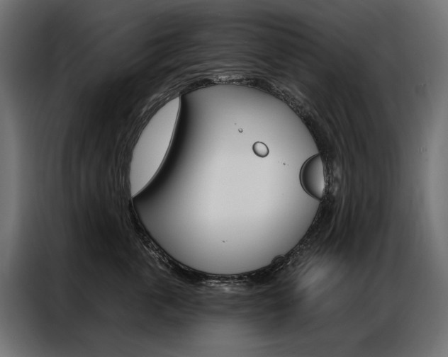 X0000086900763200704160947