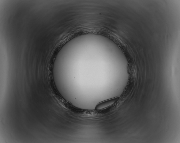 X0000086900764200704160947