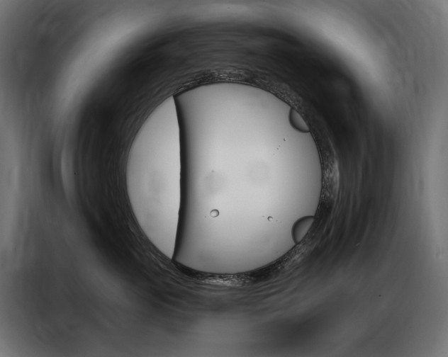 X0000086900765200704160947
