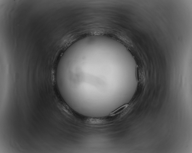 X0000086900766200704160947
