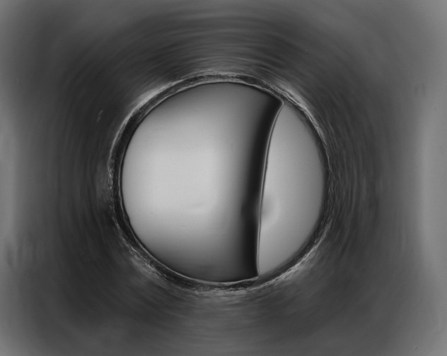 X0000086900779200704160946
