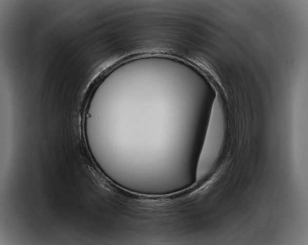 X0000086900781200704160946